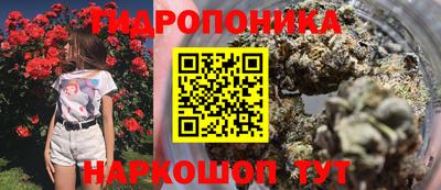 стаф Бузулук