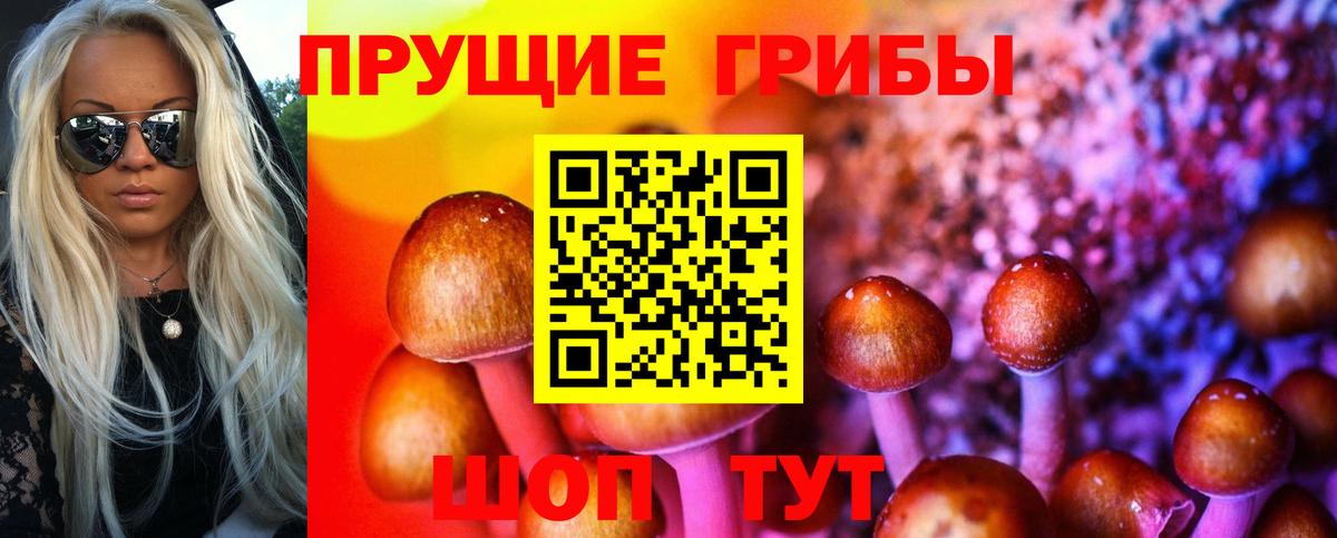 Галлюциногенные грибы мухоморы Норильск