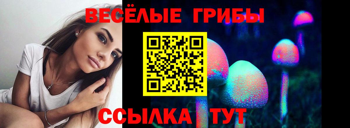 Норильск  Псилоцибиновые грибы мицелий  Вход с VPN 